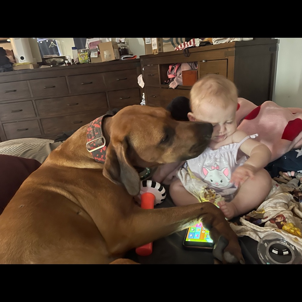 Meet your Posher, Samantha